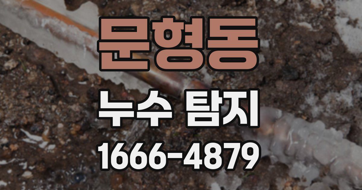 문형동 누수 탐지