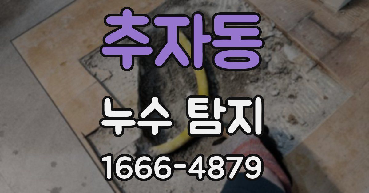 추자동 누수 탐지