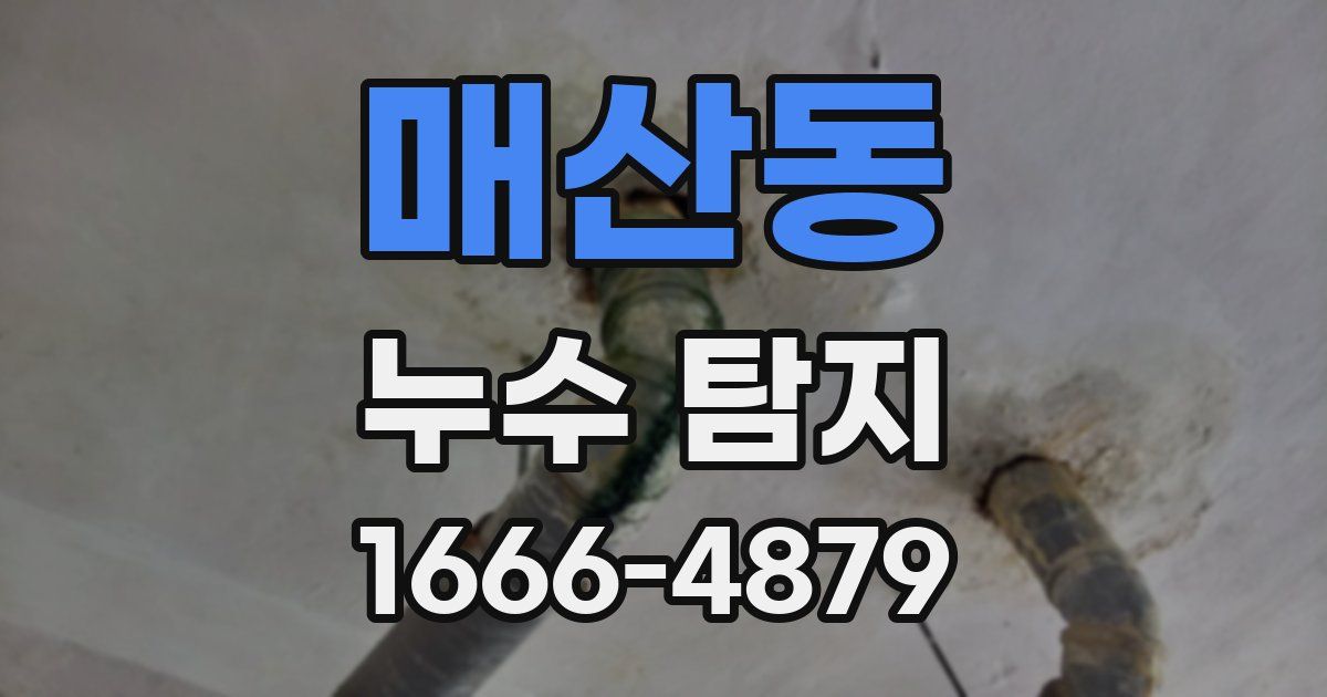 매산동 누수 탐지