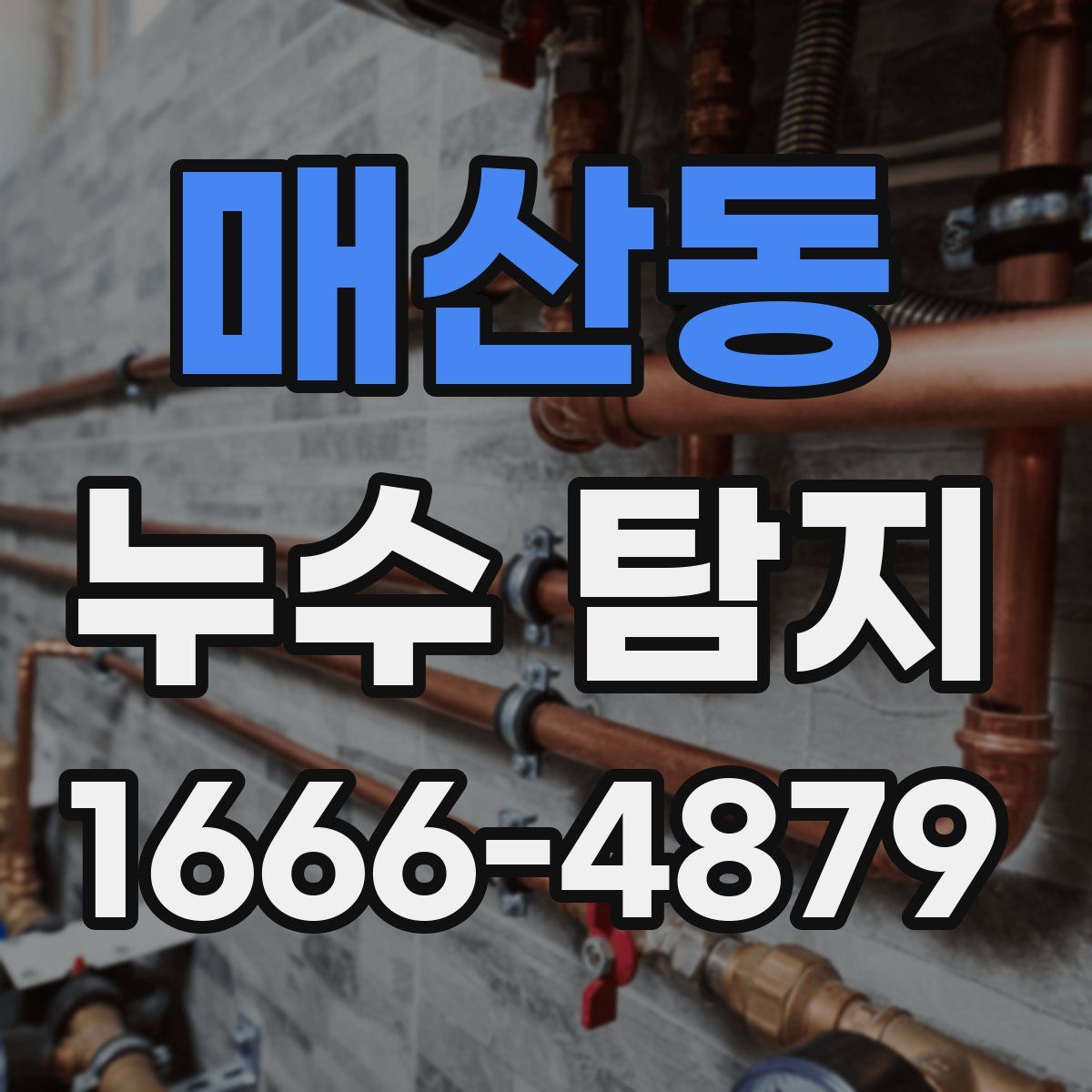 매산동 누수 탐지