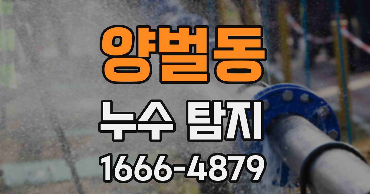 양벌동 누수 탐지
