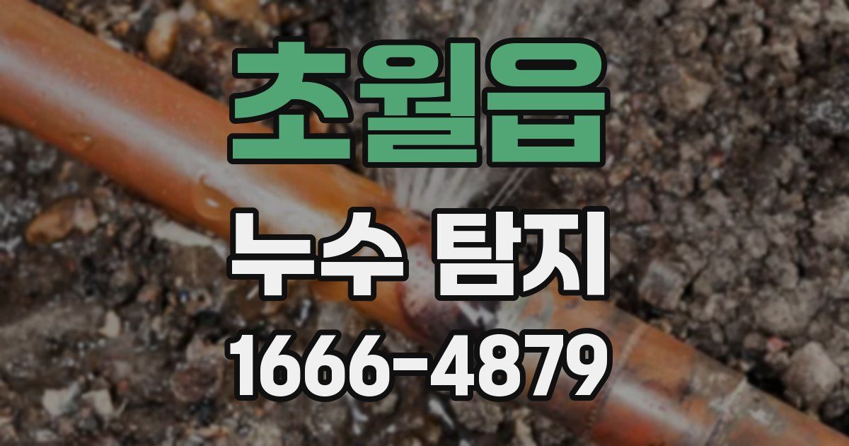 초월읍 누수 탐지