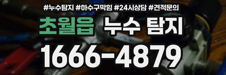 초월읍 누수 탐지
