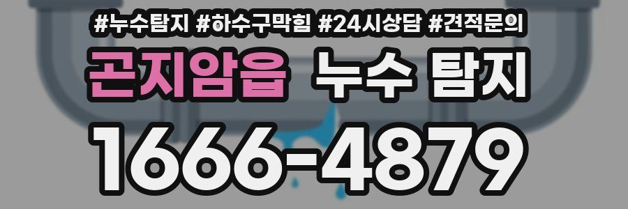 곤지암읍 누수 탐지