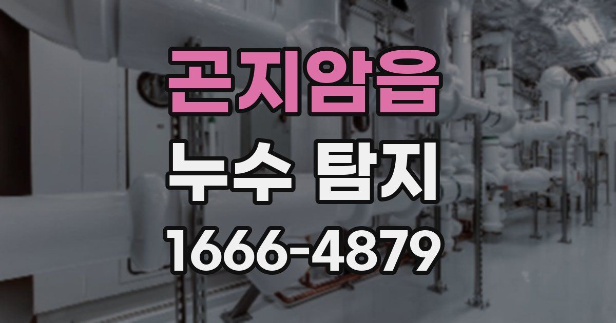곤지암읍 누수 탐지
