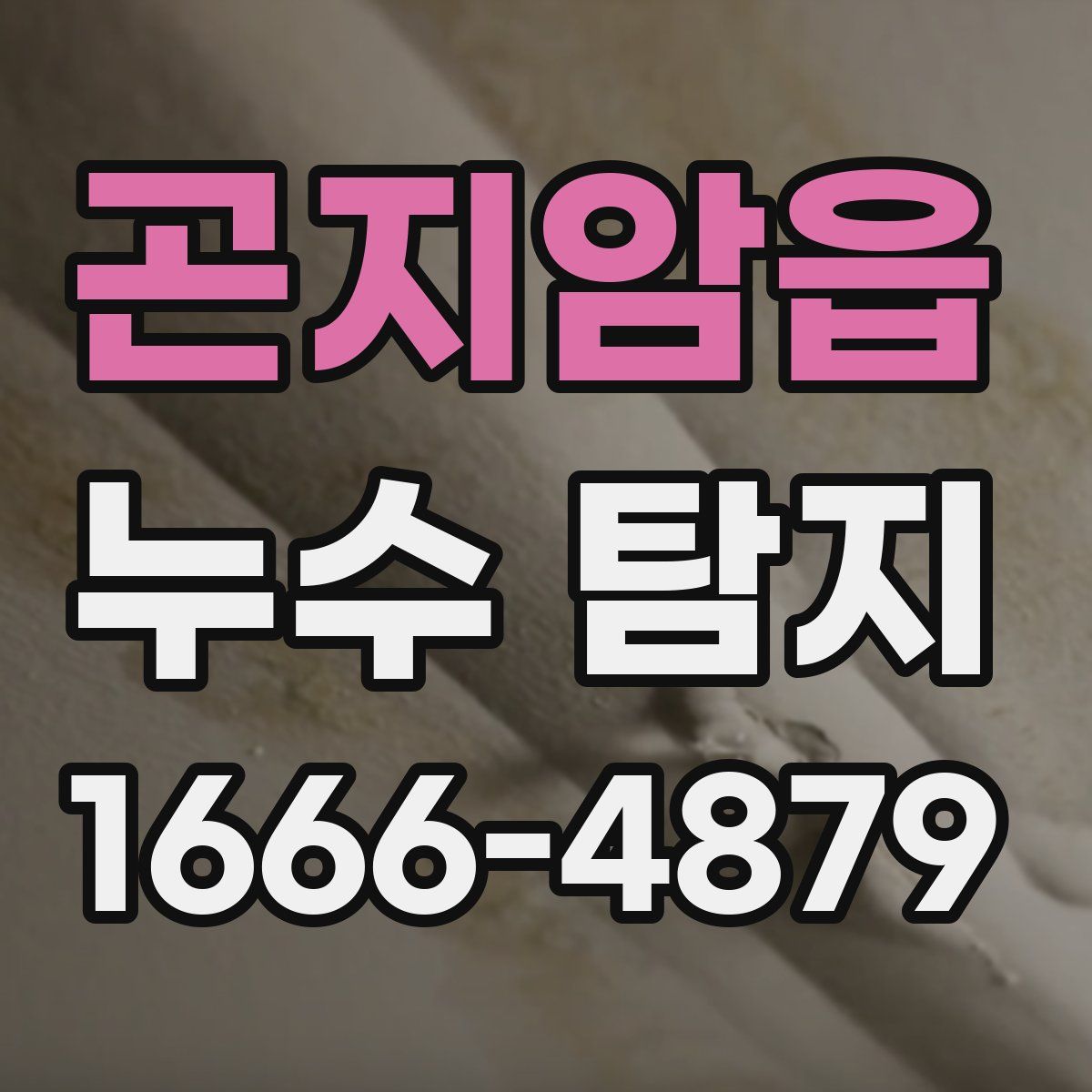 곤지암읍 누수 탐지