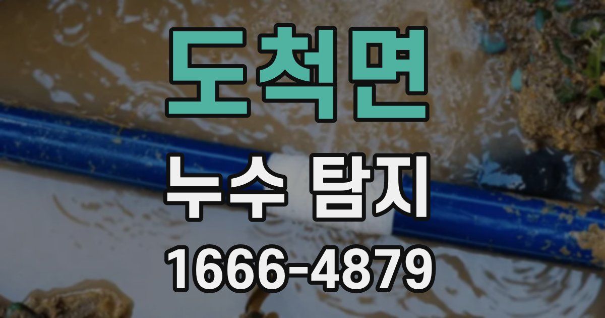 도척면 누수 탐지