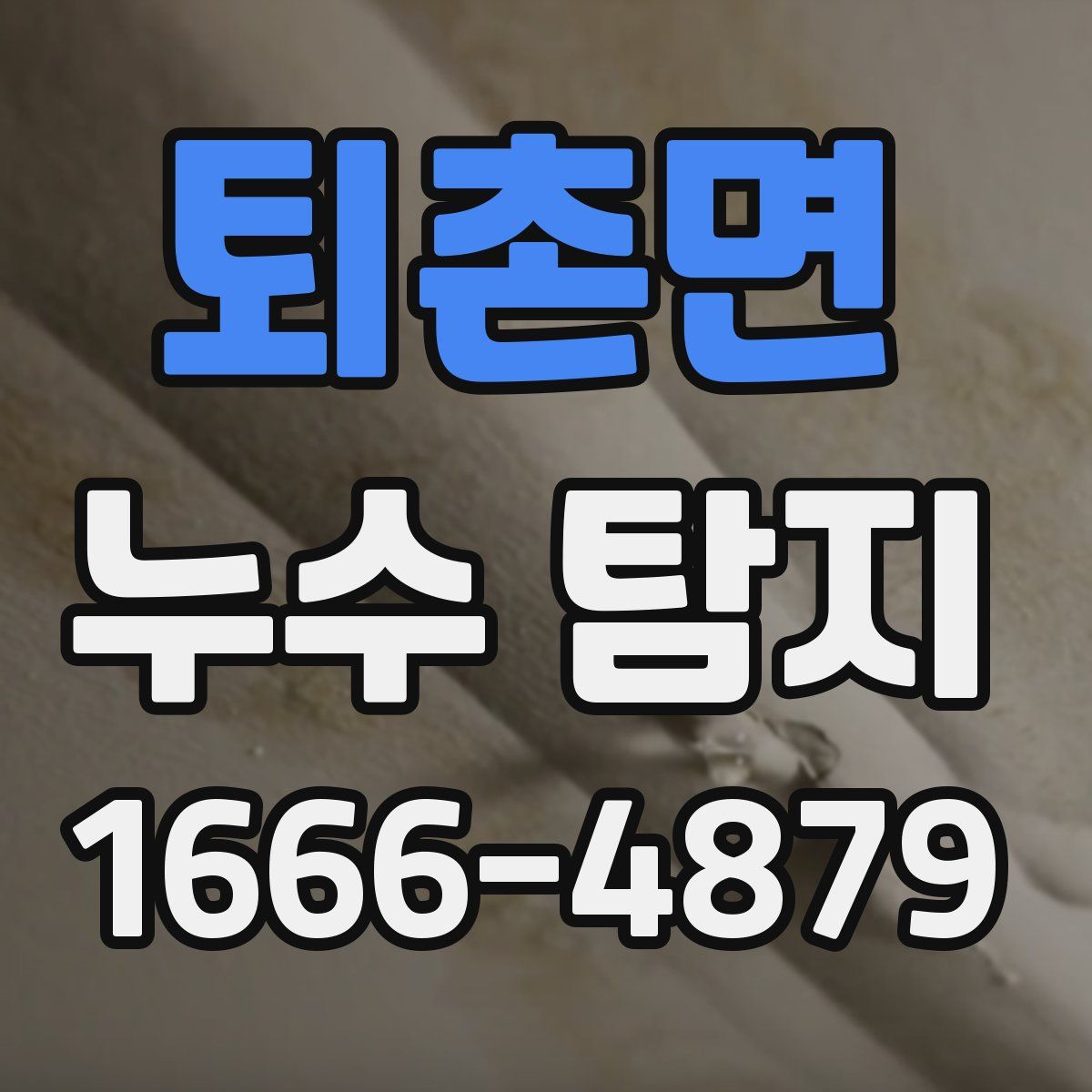 퇴촌면 누수 탐지