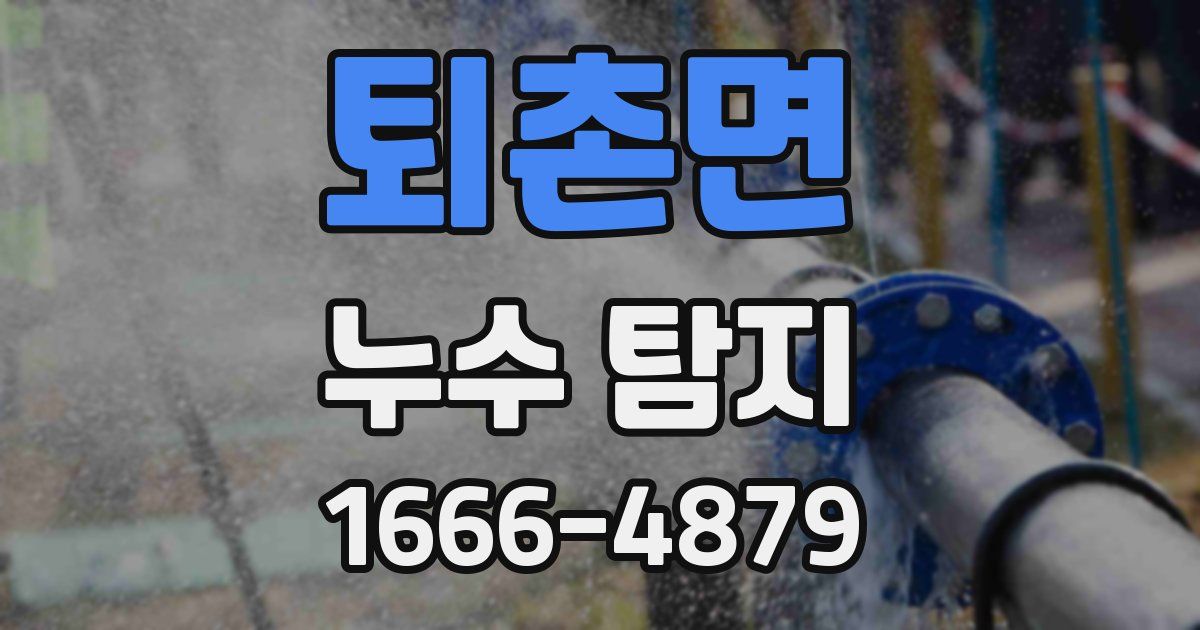 퇴촌면 누수 탐지
