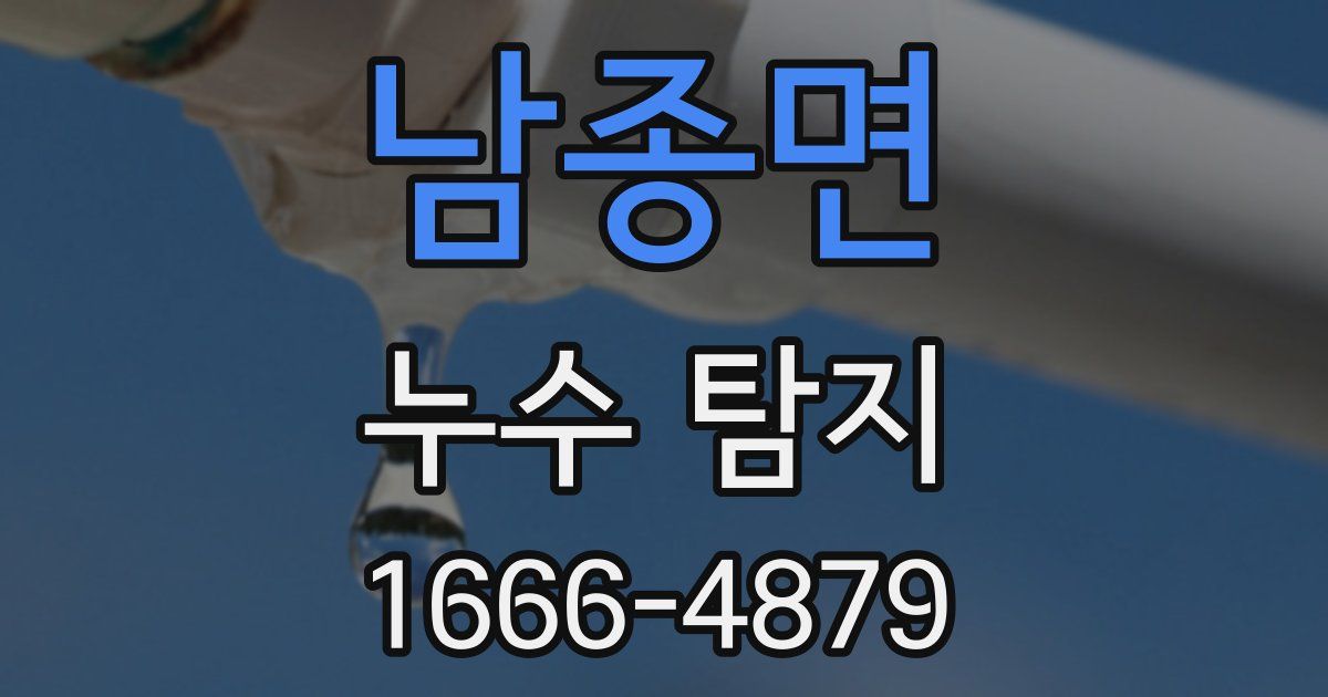 남종면 누수 탐지