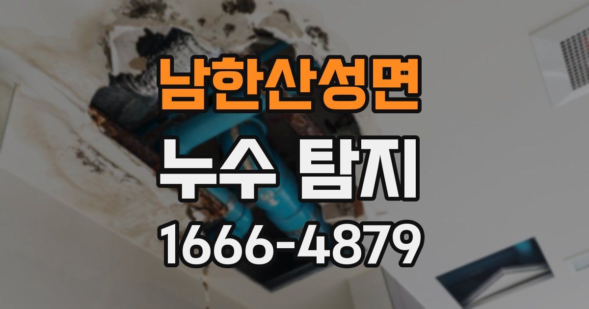 남한산성면 누수 탐지
