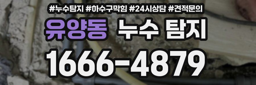 유양동 누수 탐지