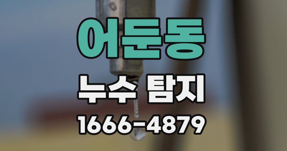 어둔동 누수 탐지