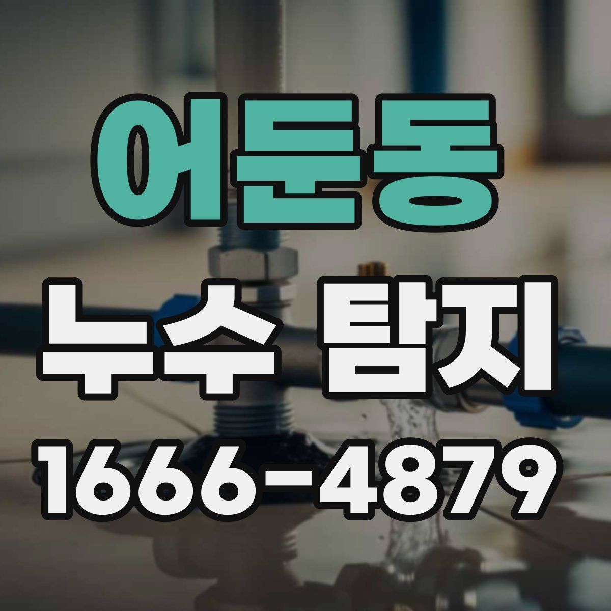 어둔동 누수 탐지