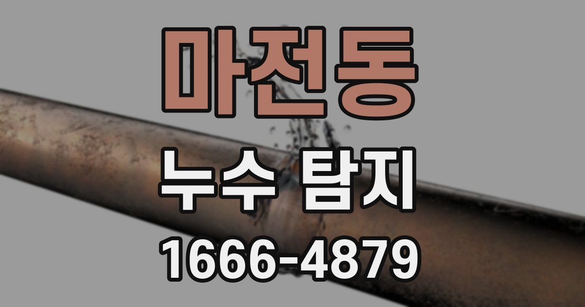 마전동 누수 탐지