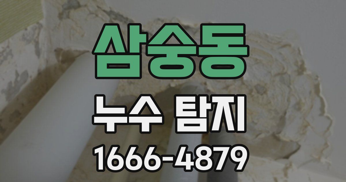 삼숭동 누수 탐지