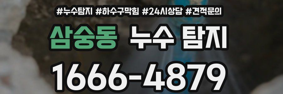 삼숭동 누수 탐지