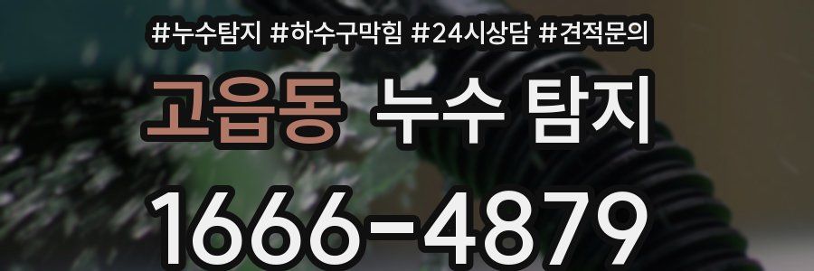 고읍동 누수 탐지