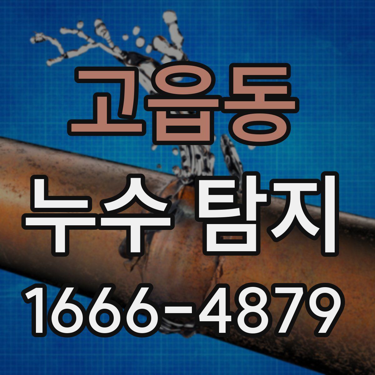 고읍동 누수 탐지