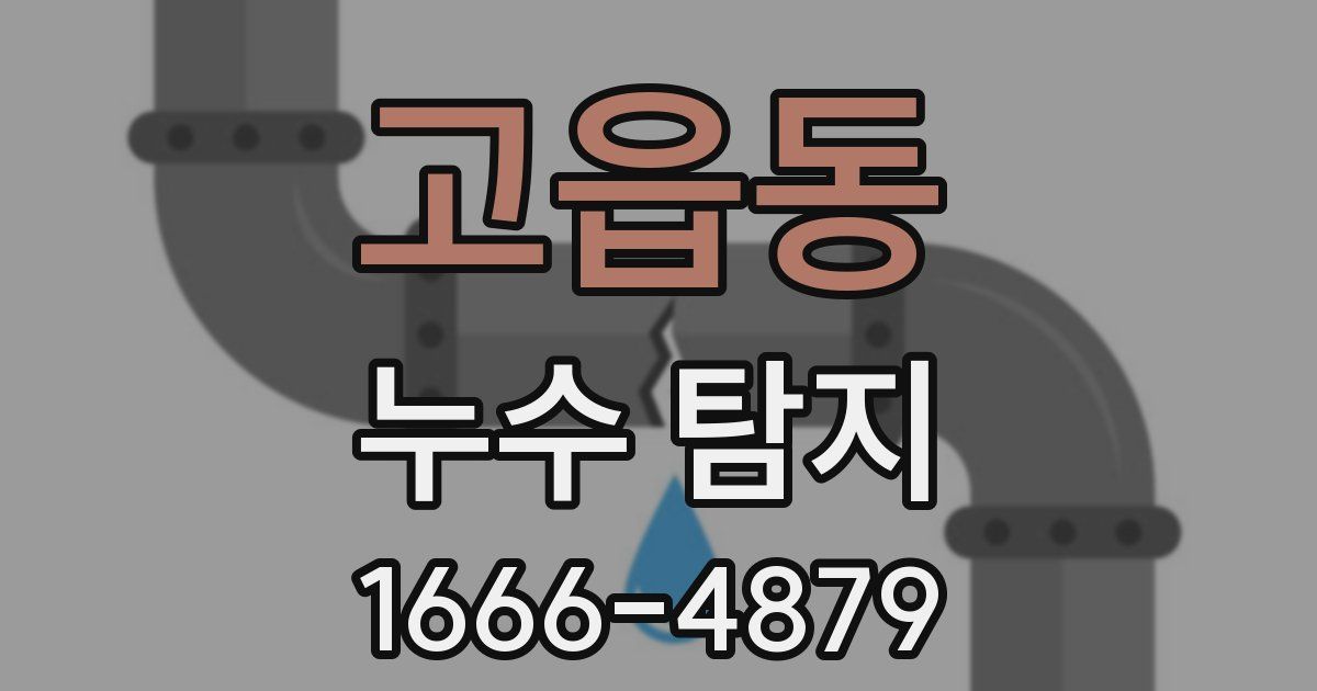 고읍동 누수 탐지