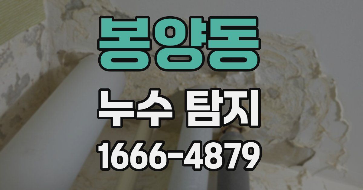 봉양동 누수 탐지
