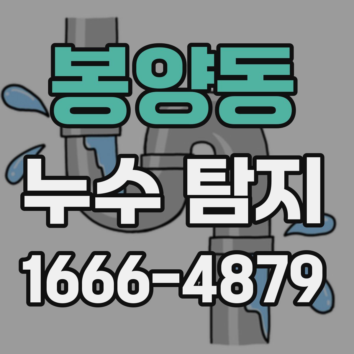 봉양동 누수 탐지