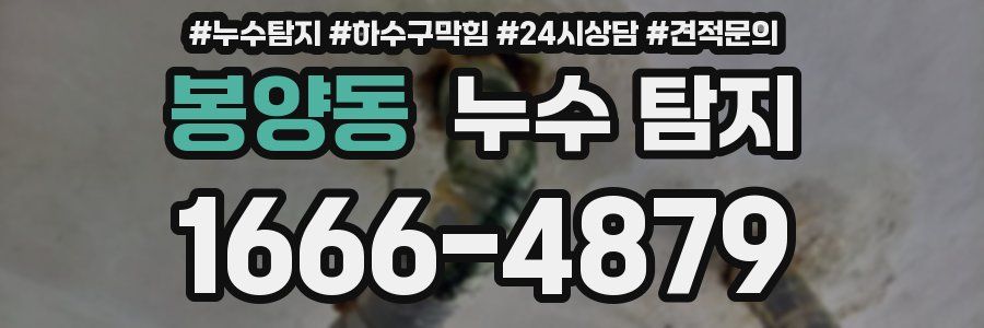 봉양동 누수 탐지