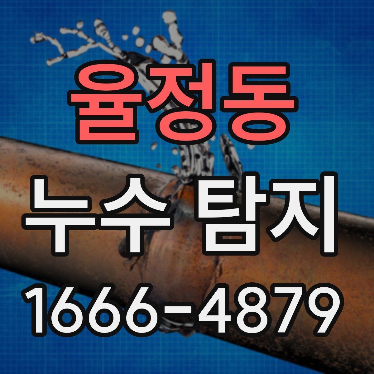 율정동 누수 탐지