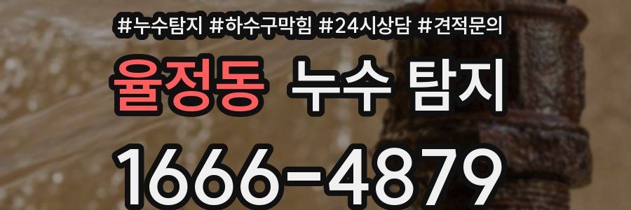 율정동 누수 탐지