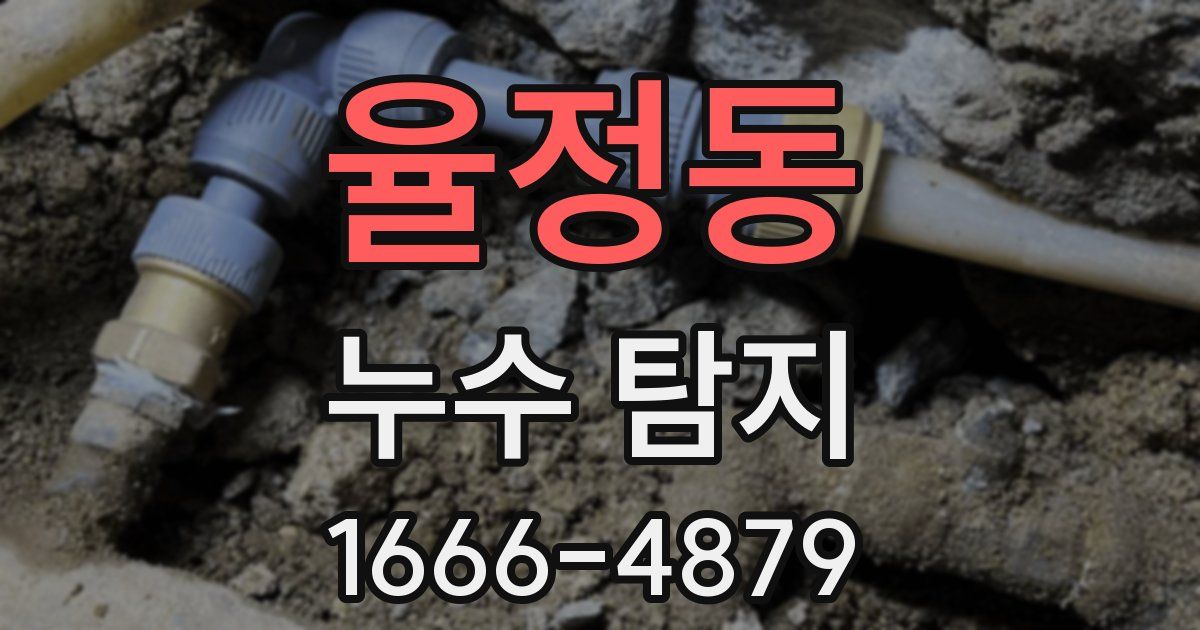 율정동 누수 탐지