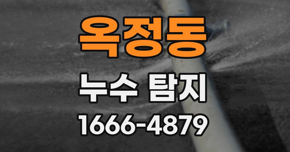 옥정동 누수 탐지