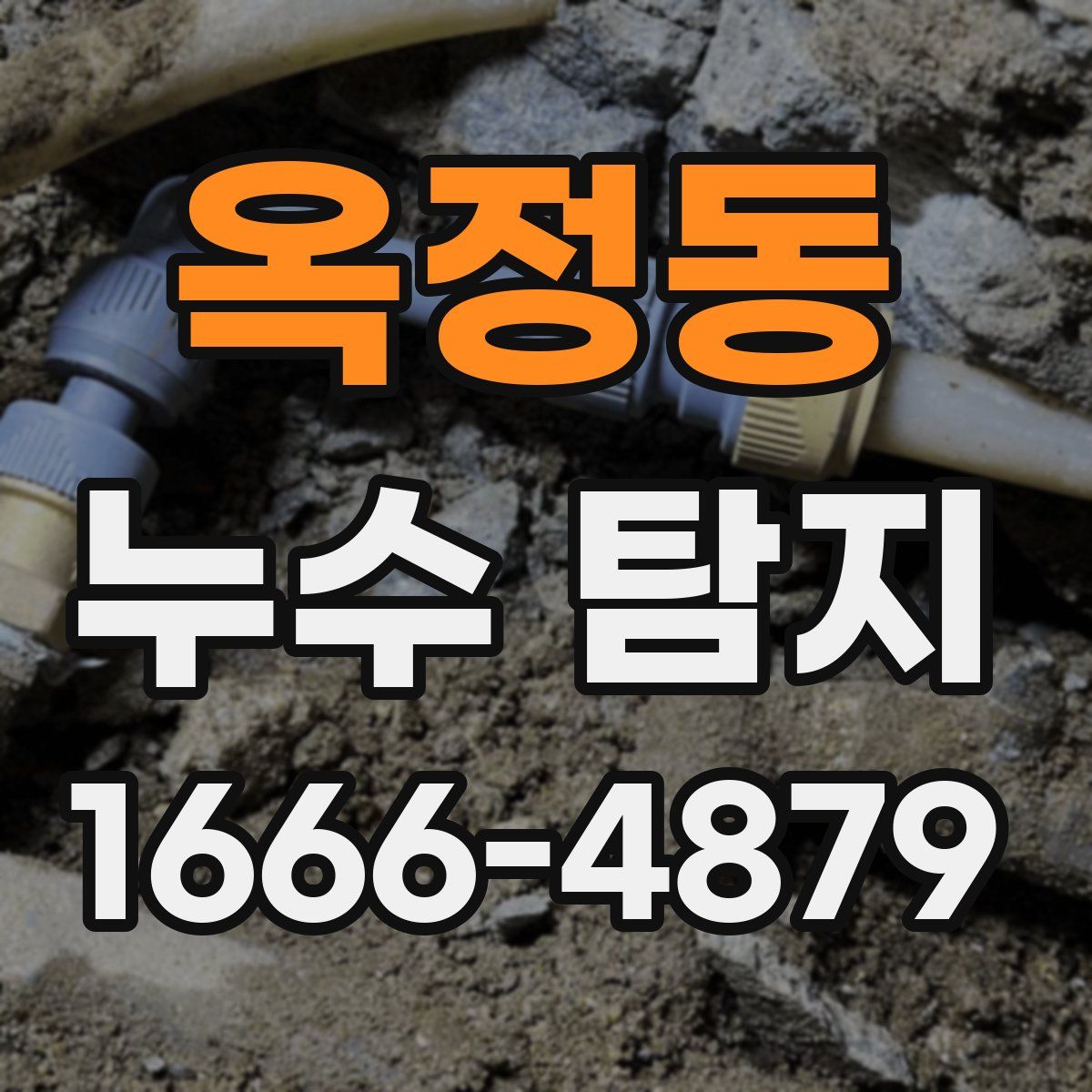 옥정동 누수 탐지