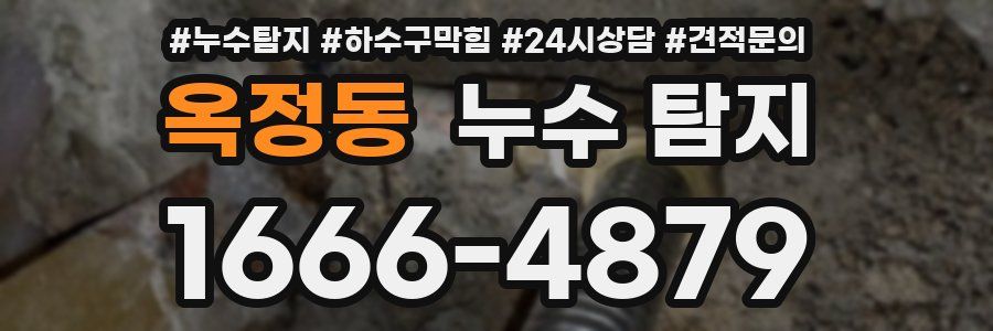 옥정동 누수 탐지