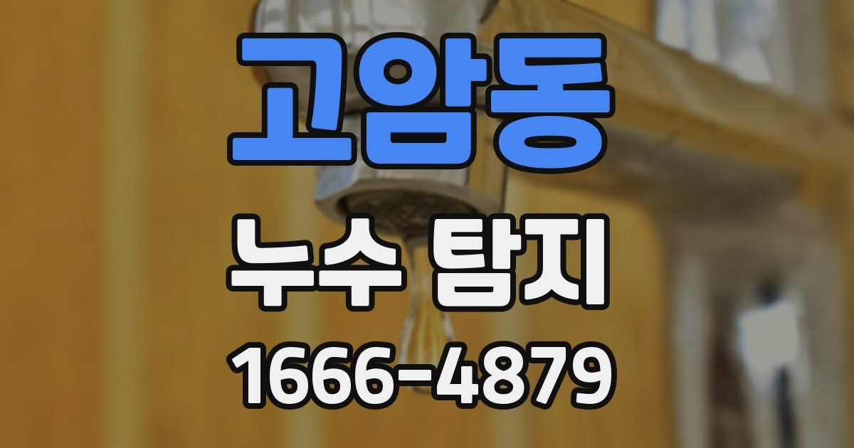 고암동 누수 탐지