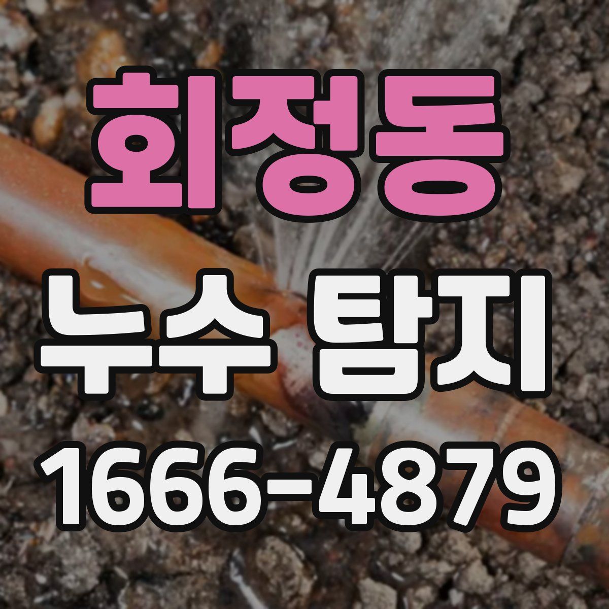 회정동 누수 탐지