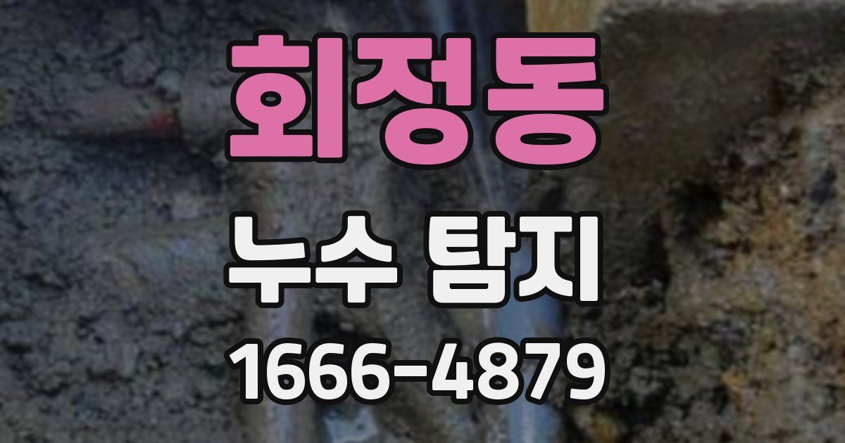 회정동 누수 탐지
