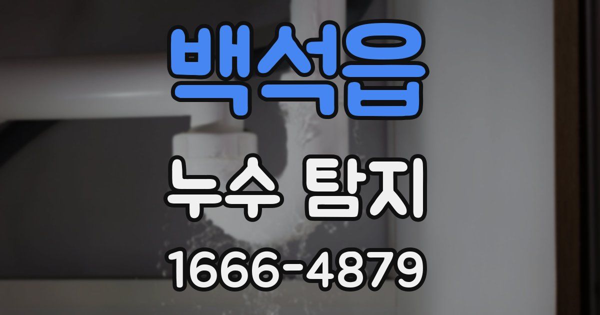 백석읍 누수 탐지