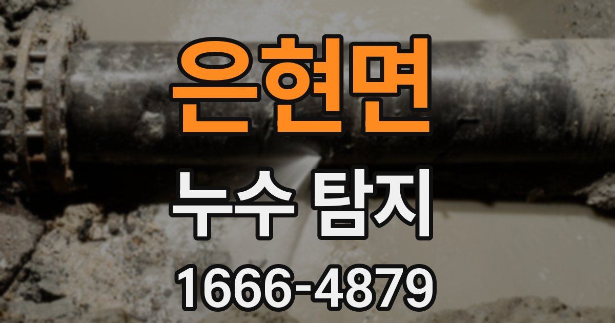 은현면 누수 탐지