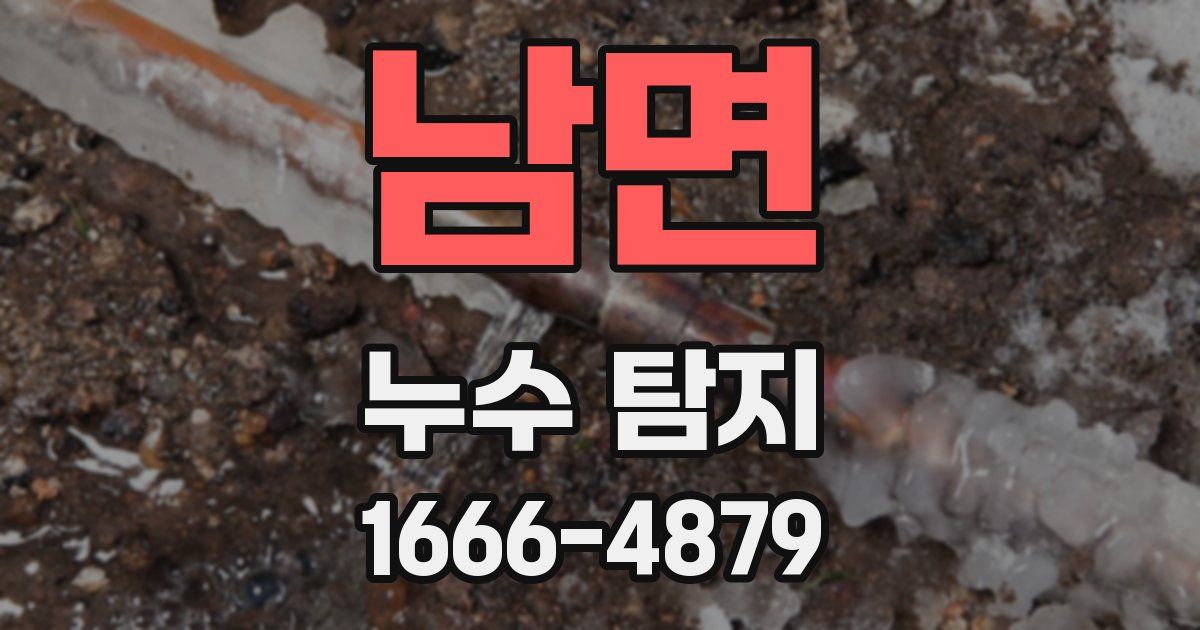 남면 누수 탐지