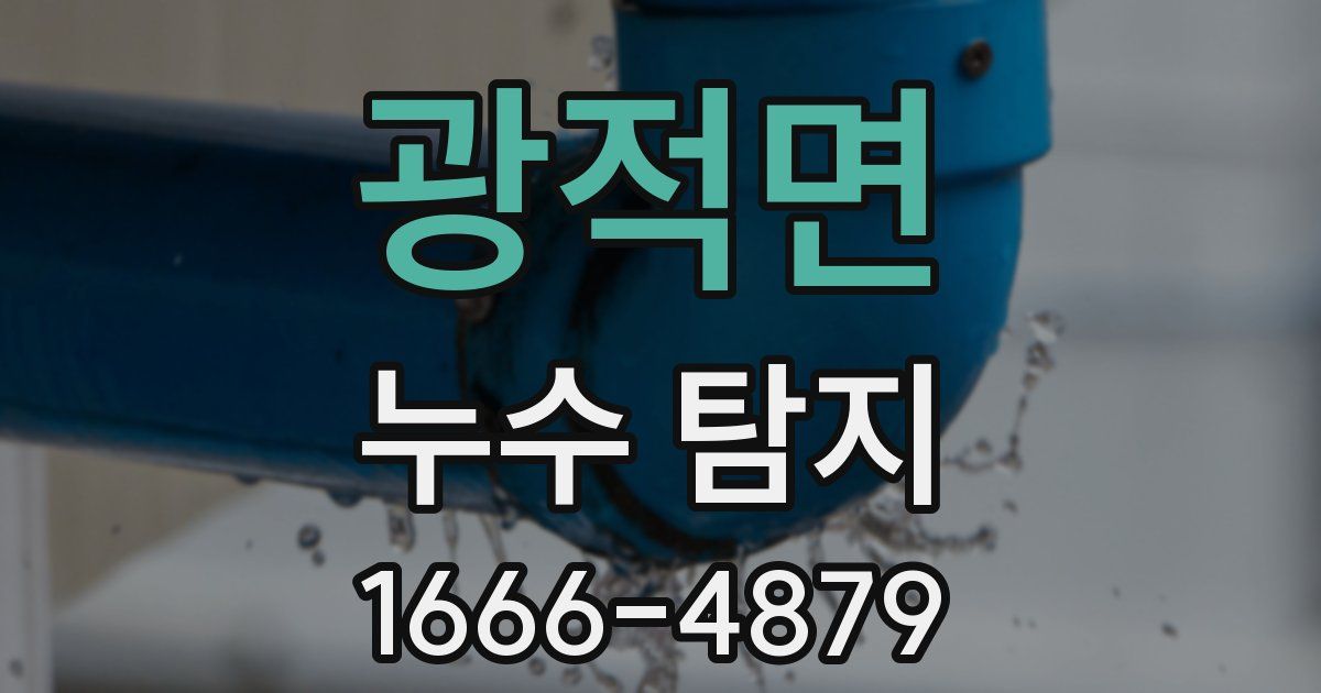 광적면 누수 탐지