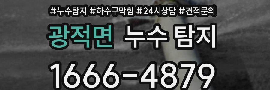 광적면 누수 탐지