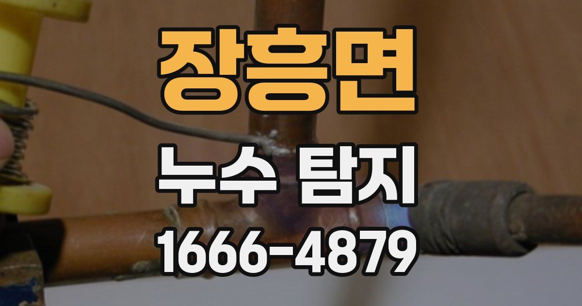 장흥면 누수 탐지