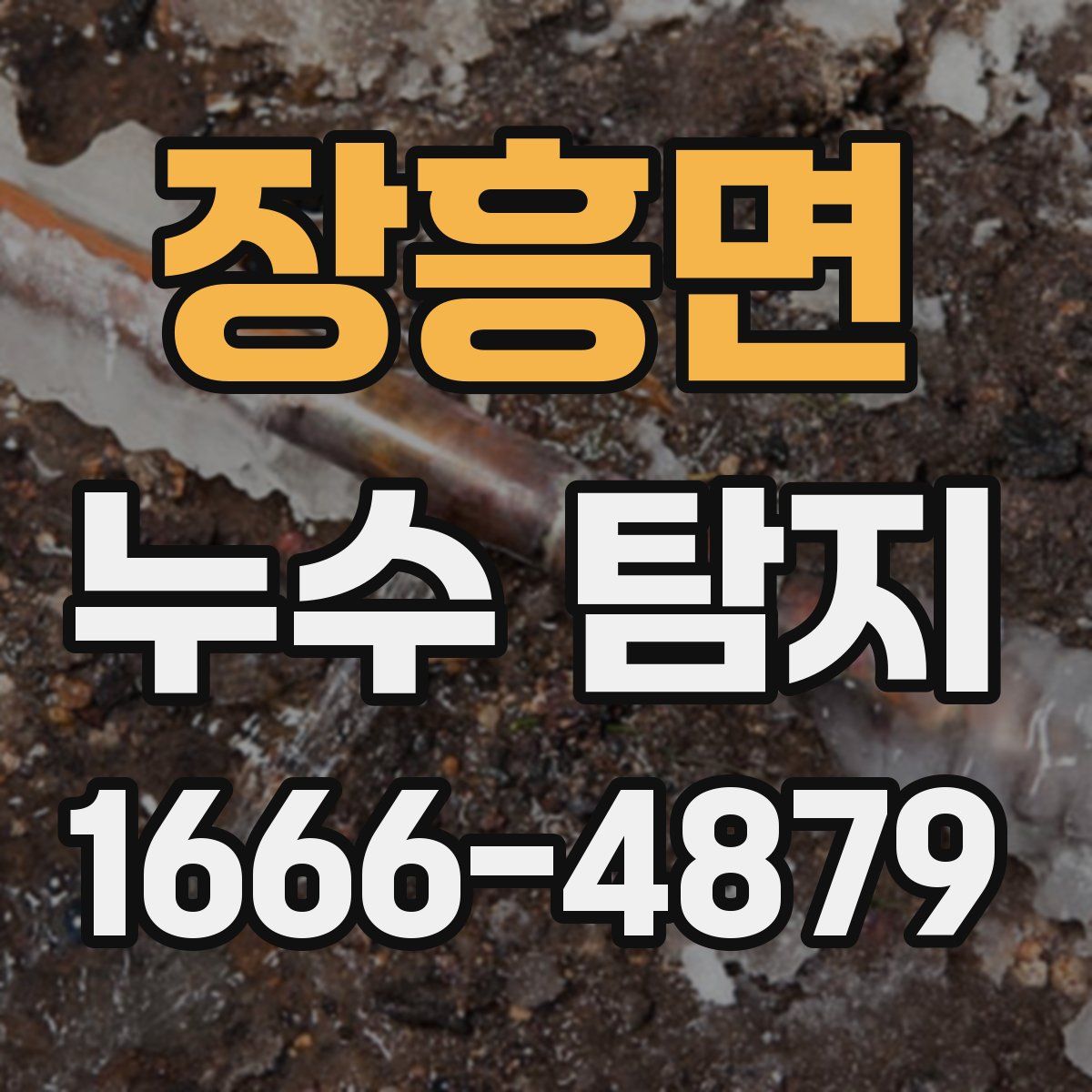장흥면 누수 탐지