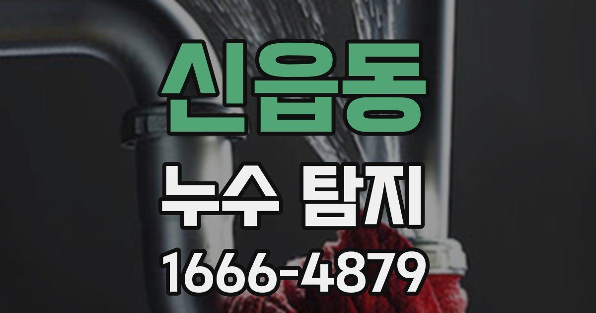 신읍동 누수 탐지