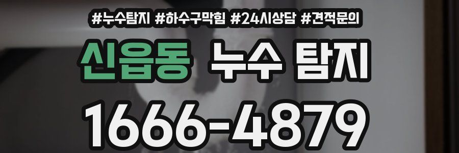 신읍동 누수 탐지