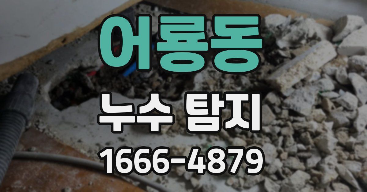 어룡동 누수 탐지