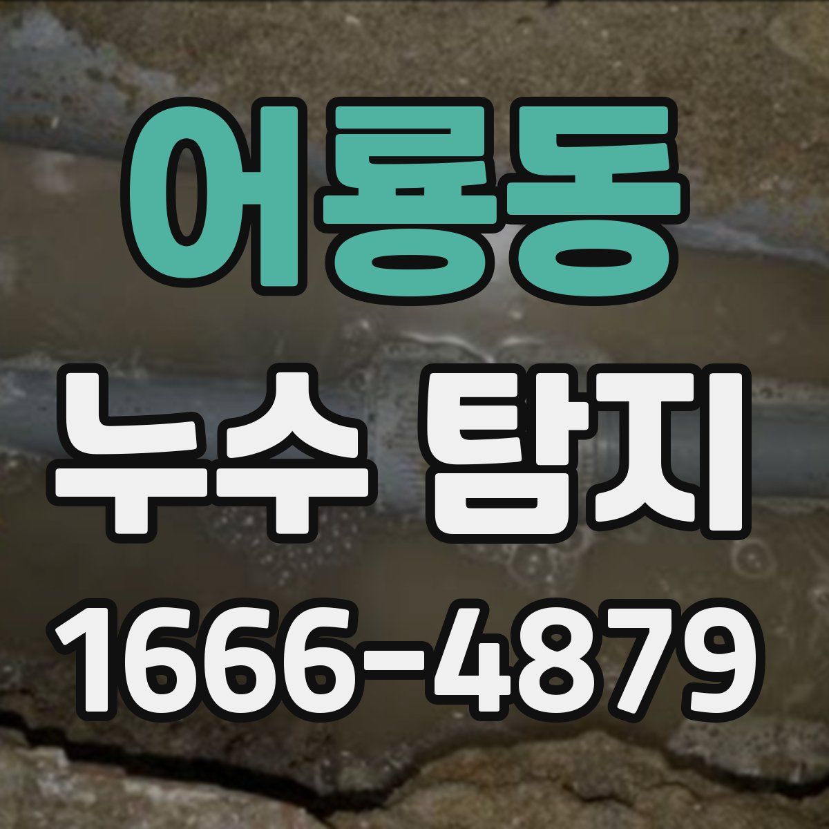 어룡동 누수 탐지