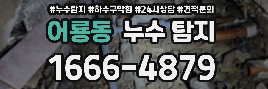 어룡동 누수 탐지