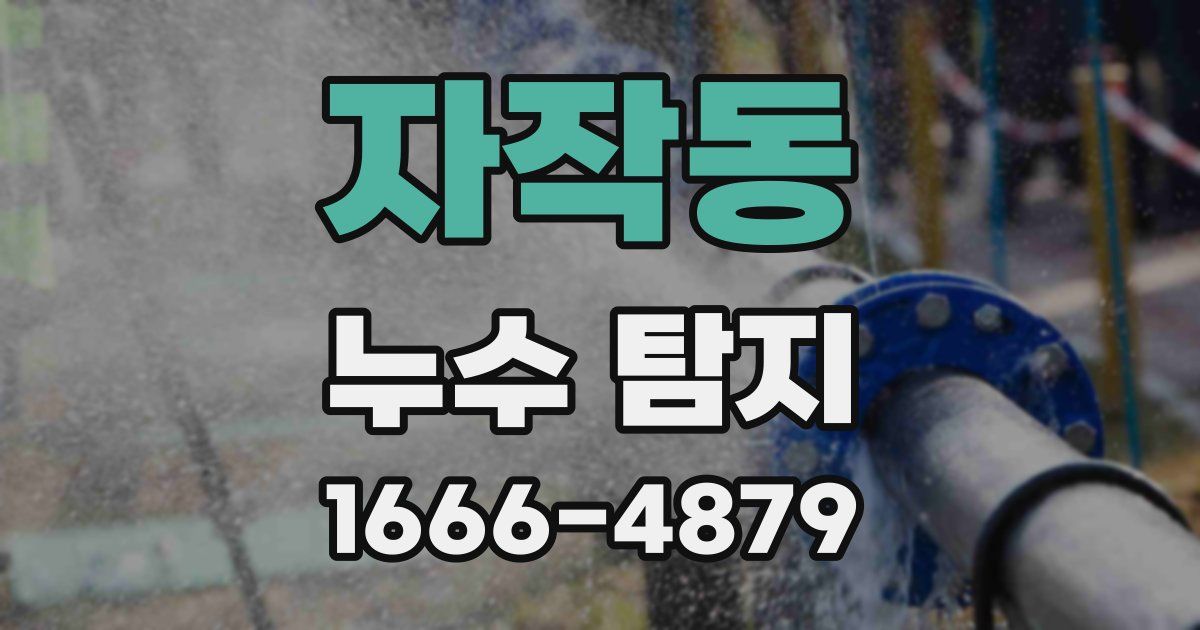 자작동 누수 탐지