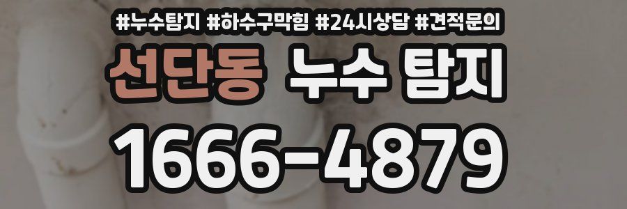선단동 누수 탐지